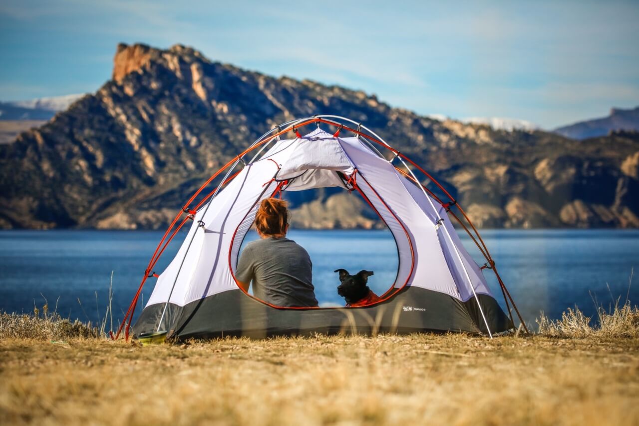 Taking Your Dog Camping- Answers to Common Questions